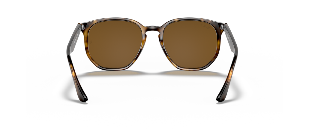 Ray-Ban RB4306 Light Havana Sunglasses