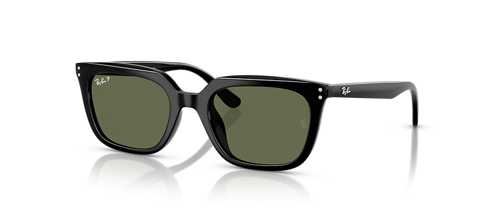 Ray-Ban RB4439D Black Sunglasses