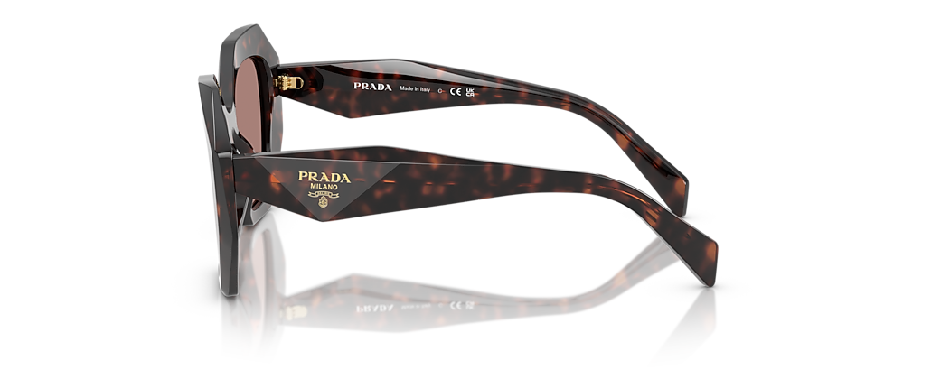 Prada PR 16WS Root Tortoise Sunglasses