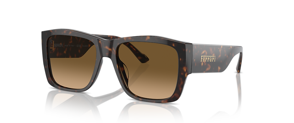 Ferrari FH2003U Havana Sunglasses