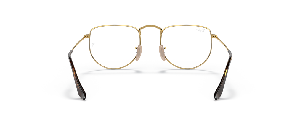 Ray-Ban RB3958V Elon Optics Limited Edition Havana on Gold Frames