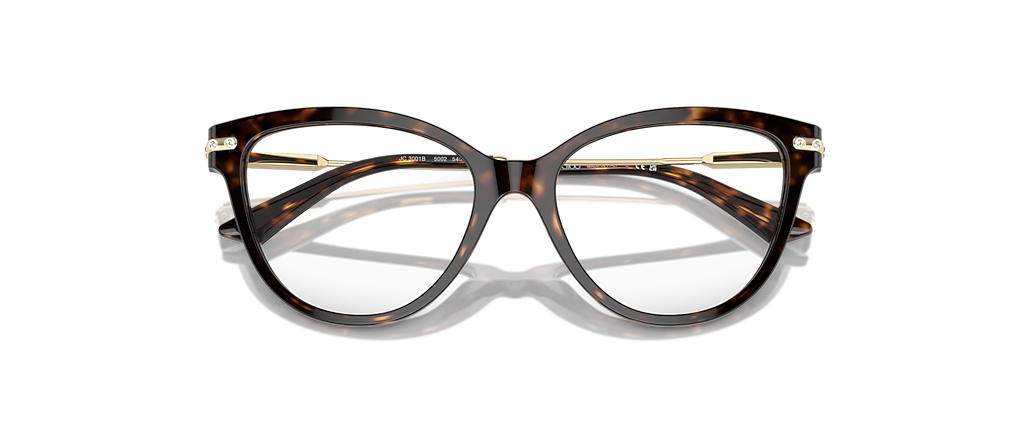 Jimmy Choo JC3001B Havana Frames