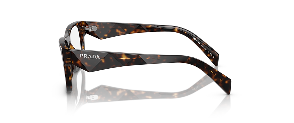 Prada PR 22ZVF Loden/Black Frames