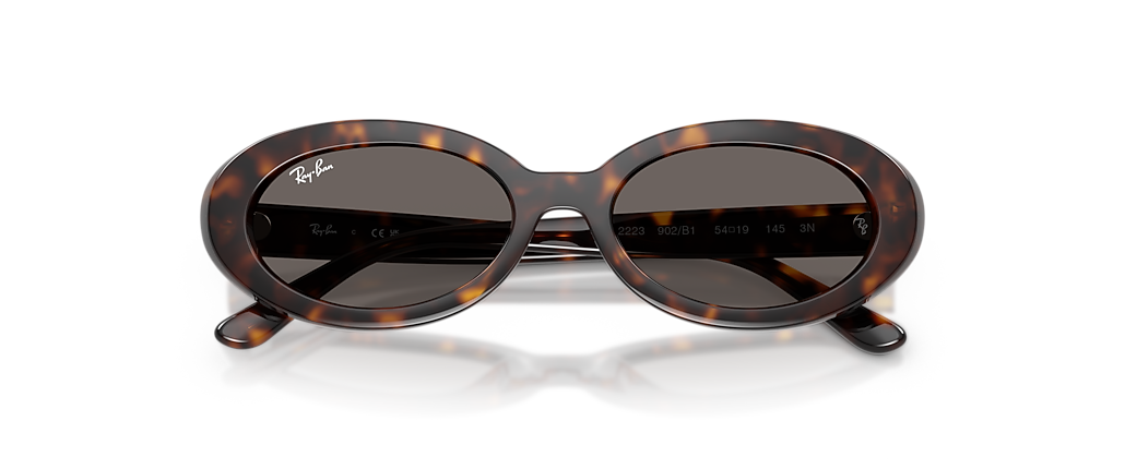 Ray-Ban RB2223F Havana Sunglasses