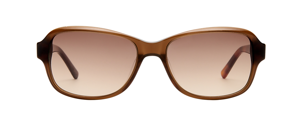 Oroton Ainsley Ii 25564 Brown Bronze Sunglasses