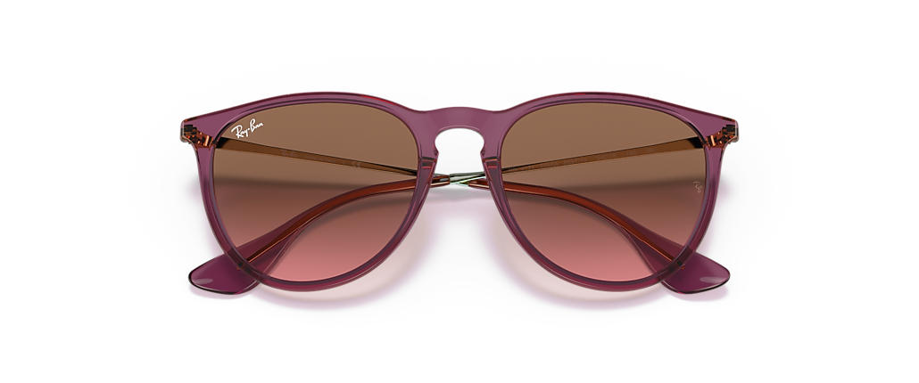Ray-Ban RB4171 Erika Classic Transparent Violet Sunglasses