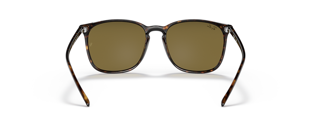 Ray-Ban RB4387F Tortoise Sunglasses