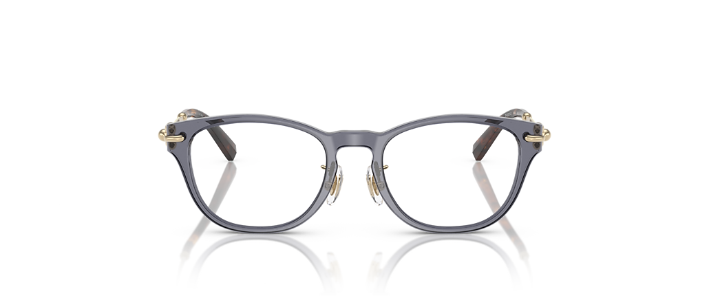 Tiffany & Co. TF2237D Crystal Dark Violet Frames