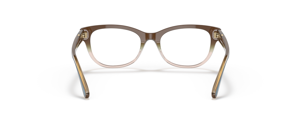 Coach HC6187 Transparent Brown Gradient Frames