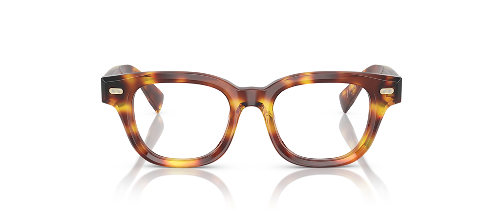 Brunello Cucinelli BC3012 MILES Havana Mr Brunello Frames
