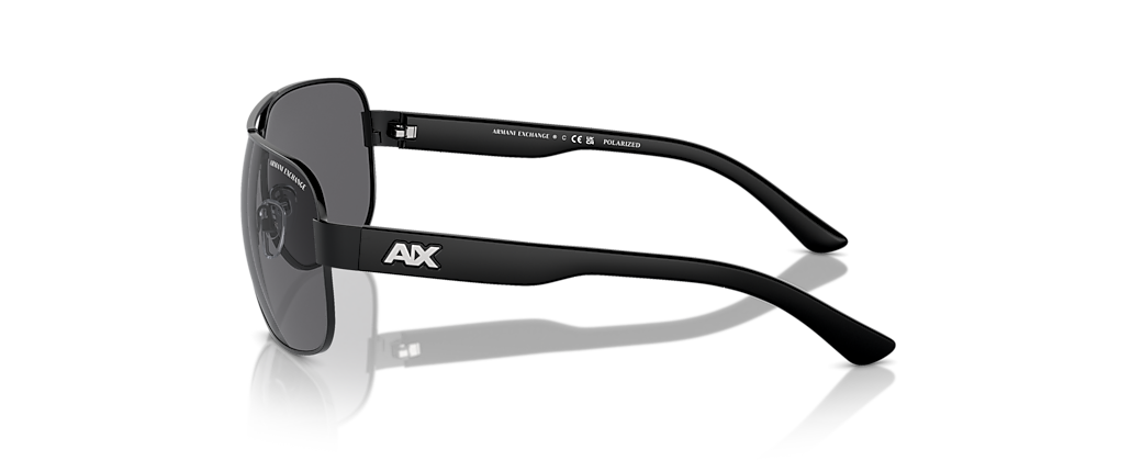 Armani Exchange AX2012S Matte Black Sunglasses