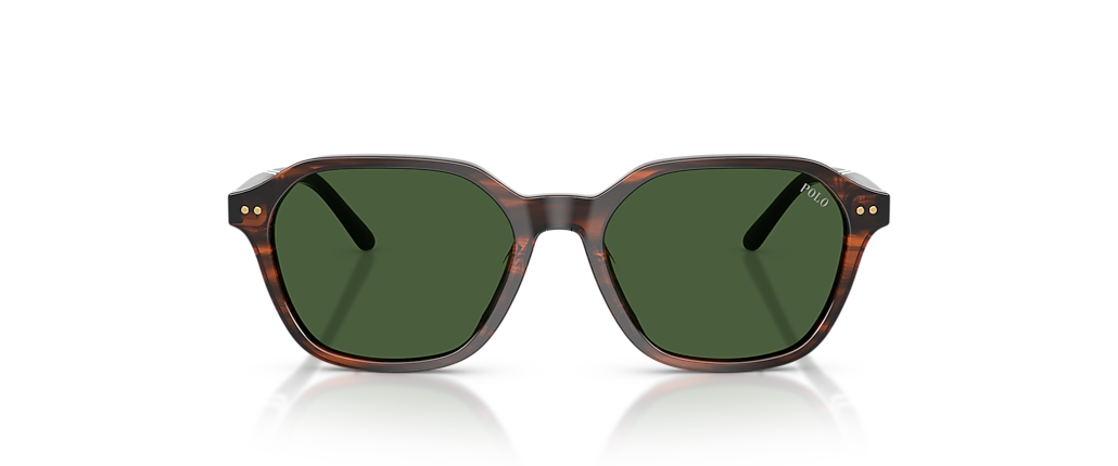 Polo Ralph Lauren PH4234U Shiny Striped Brown Sunglasses