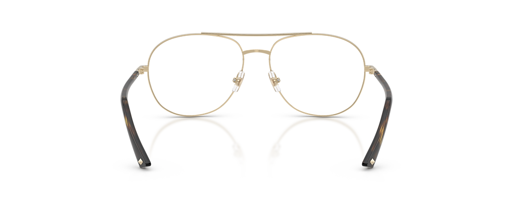 Jimmy Choo JC2021 Pale Gold Frames