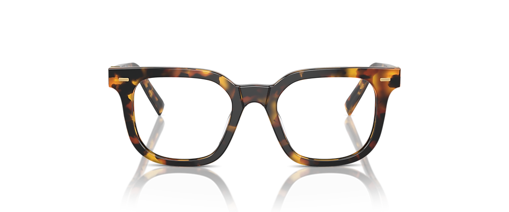 Miu Miu MU 06XVF Honey Havana Frames