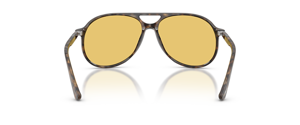 Persol PO3403S - Walter Dark Havana Sunglasses