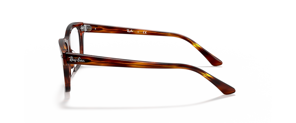 Ray-Ban RB5383 Burbank Optics Striped Red Havana Frames