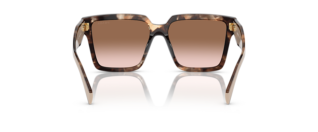 Prada PR 24ZS Caramel Tortoise Sunglasses