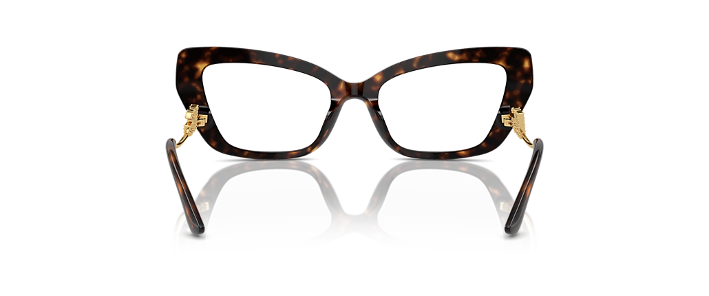 Dolce&Gabbana DG3391B Havana Frames