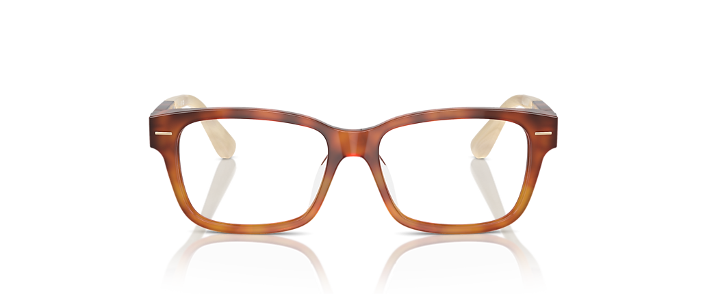 Brunello Cucinelli BC3003 Havana Frames