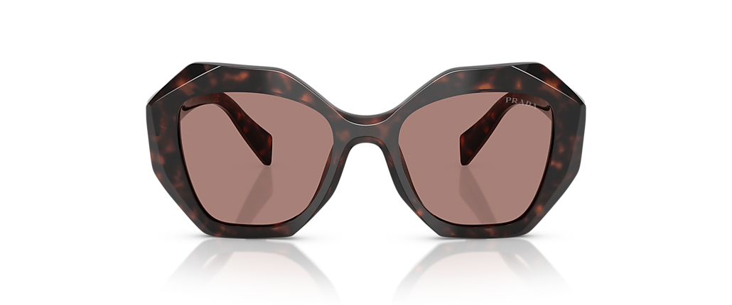 Prada PR 16WS Root Tortoise Sunglasses