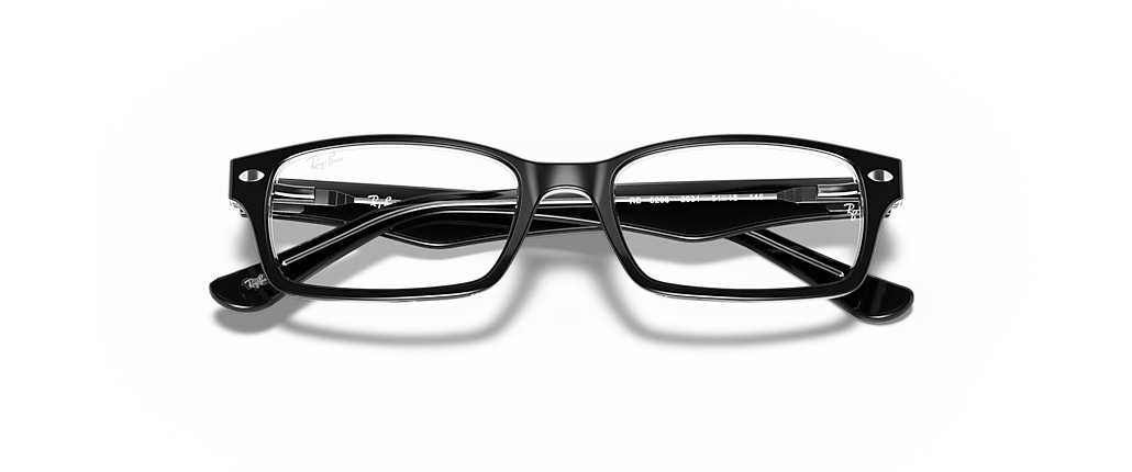 Ray-Ban RB5206 Optics Black On Transparent Frames