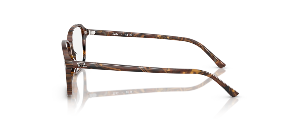 Ray-Ban RB5431 Raimond Optics Transparent Fantasy Brown & Yellow Frames