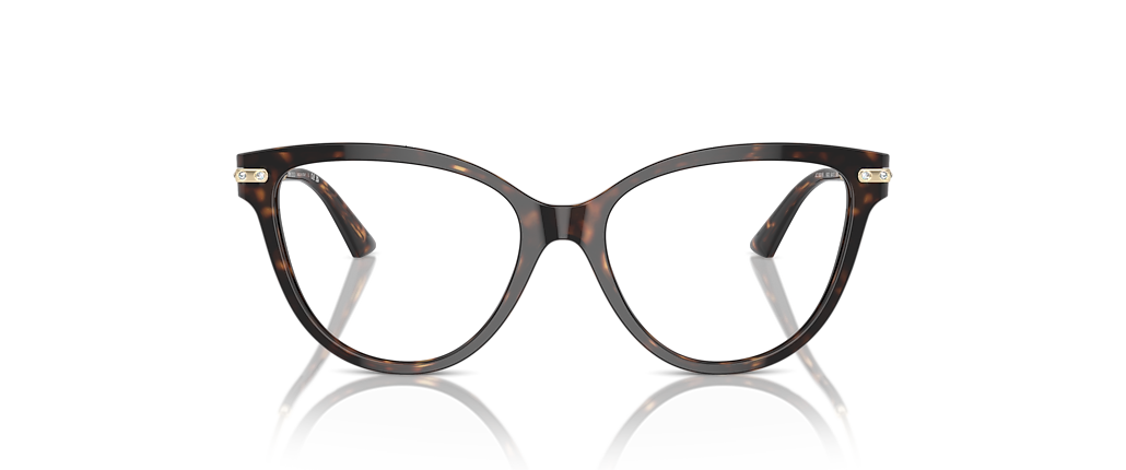 Jimmy Choo JC3001B Havana Frames
