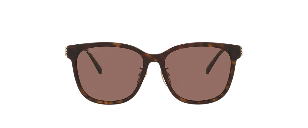 Gucci GG1884SK Tortoise Sunglasses