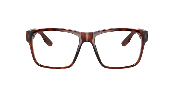 Costa 6A9049V Paunch RX