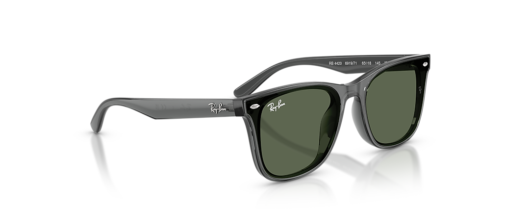 Ray-Ban RB4420 Transparent Grey Sunglasses