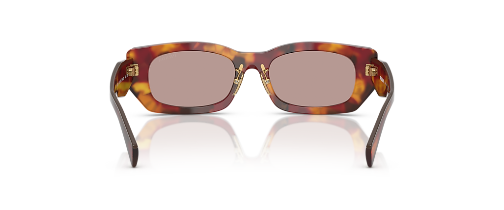 Prada PR B05SF Poppy Tortoise Sunglasses