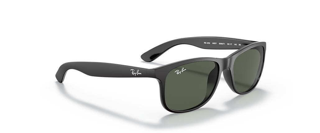 Ray-Ban RB4202 Andy Black Sunglasses