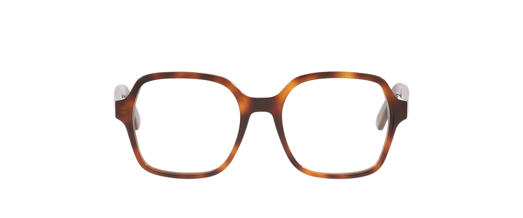 DIOR DiorMidnightO S1I Tortoise Gold Frames