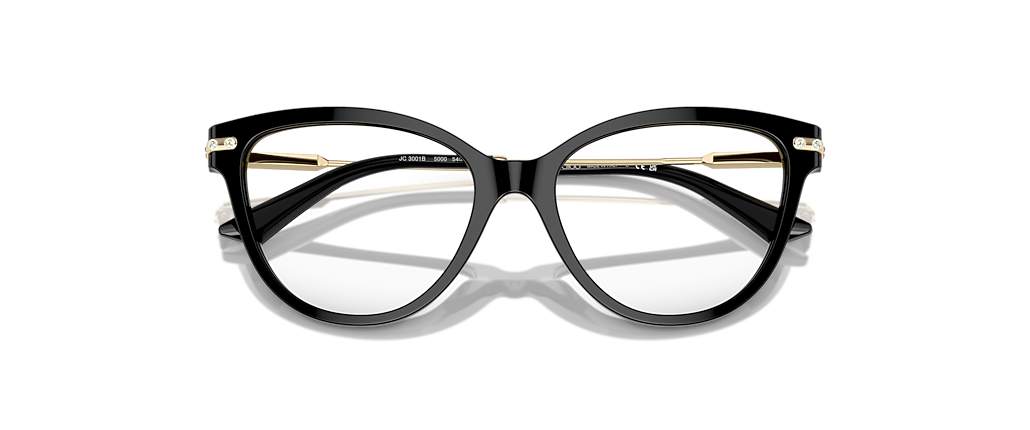 Jimmy Choo JC3001B Black Frames