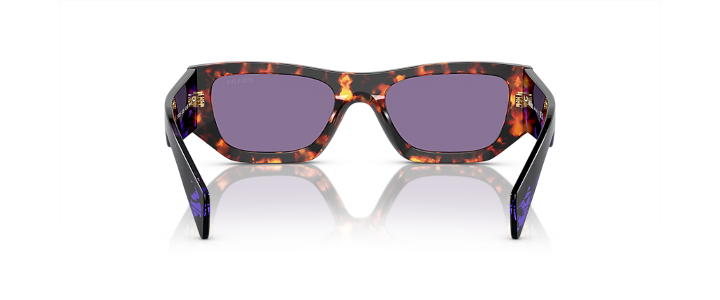 Prada PR A01SF Havana Sunglasses