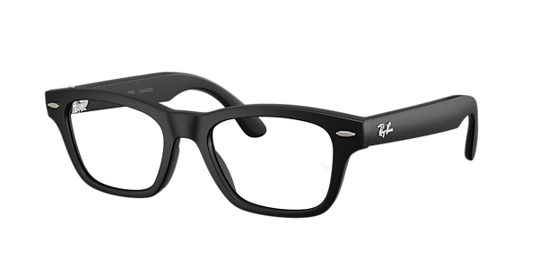 Ray-Ban Ray-Ban Meta Audio Burbank