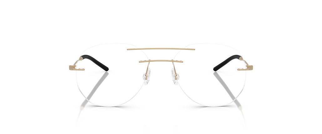 Moncler ME1003 Matte Gold Frames