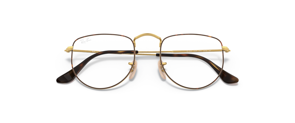 Ray-Ban RB3958V Elon Optics Limited Edition Havana on Gold Frames