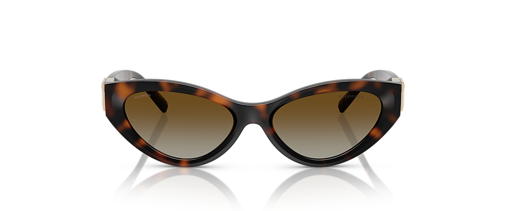 Tiffany & Co. TF4225U Havana Sunglasses