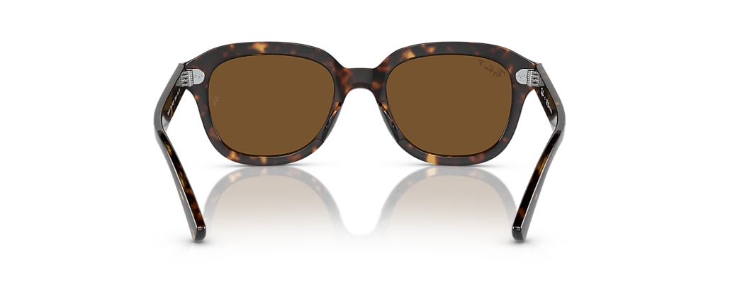 Ray-Ban RB4398 Erik Havana Sunglasses