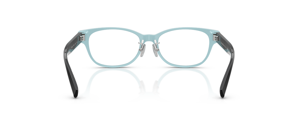 Tiffany & Co. TF2263D Black On Tiffany Blue Frames