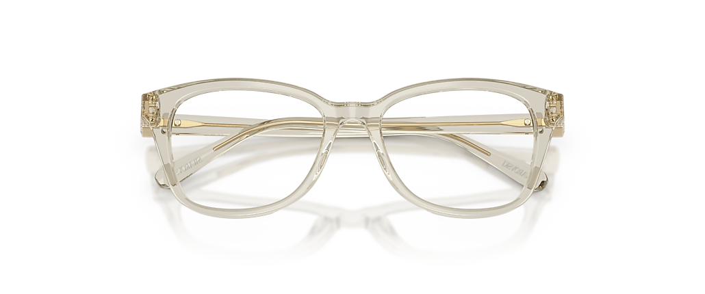 Swarovski SK2073 Transparent Beige Frames