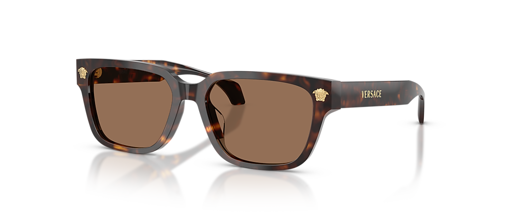 Versace VE4513D Havana Sunglasses