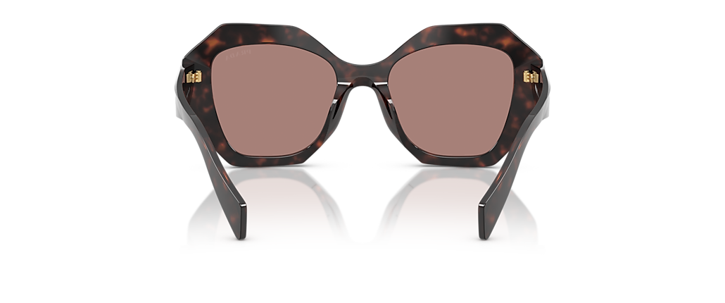 Prada PR 16WS Root Tortoise Sunglasses