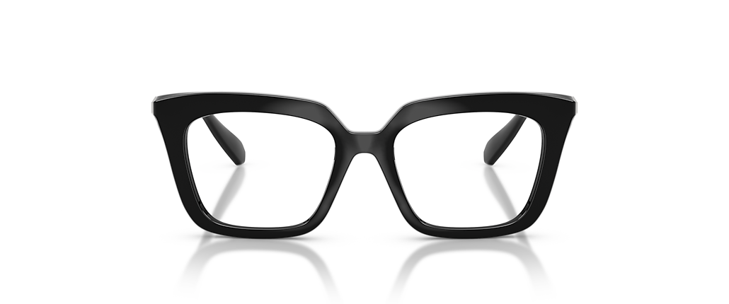 Swarovski SK2043 Black Frames