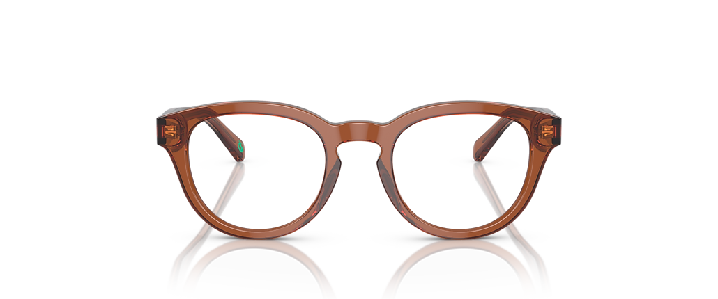 Polo Ralph Lauren PH2262 Shiny Transparent Brown Frames