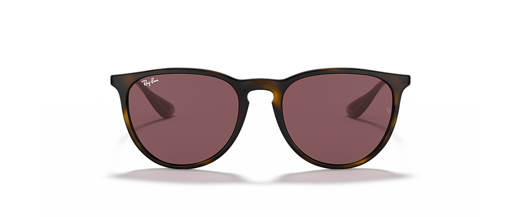 Ray-Ban RB4171 Erika Color Mix Havana Sunglasses