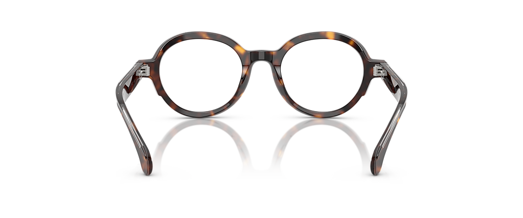 Moncler ME2005 Brown Tortoise Frames